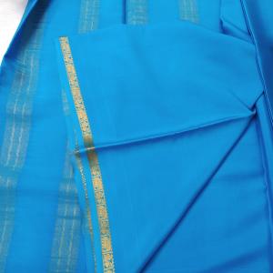Sky Blue & Peacock Zari Border Saree