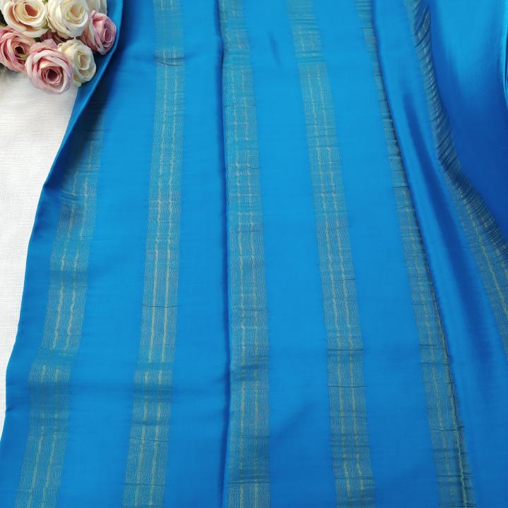 Sky Blue & Peacock Zari Border Saree